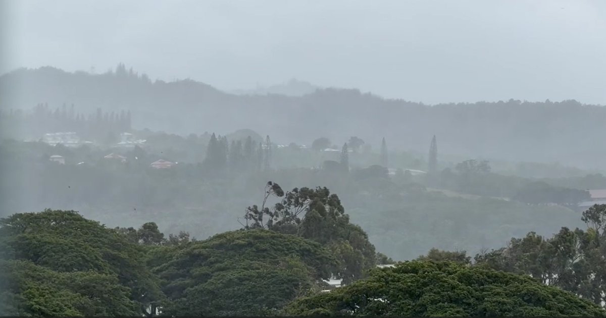 Monday Weather | Strong winds and heavy rain continue statewide | Local