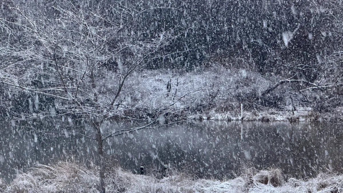 2-6 inches of snow expected in DC area; school delays possible – NBC4 Washington