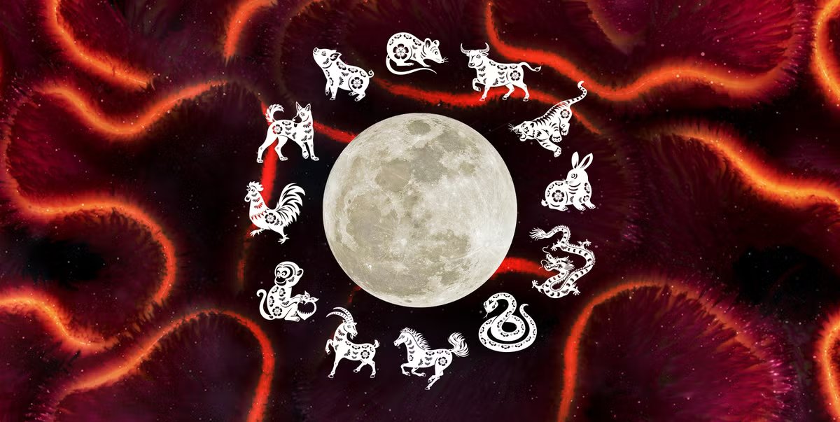 Exactly what your birth year's Chinese Zodiac Sign says about your personality