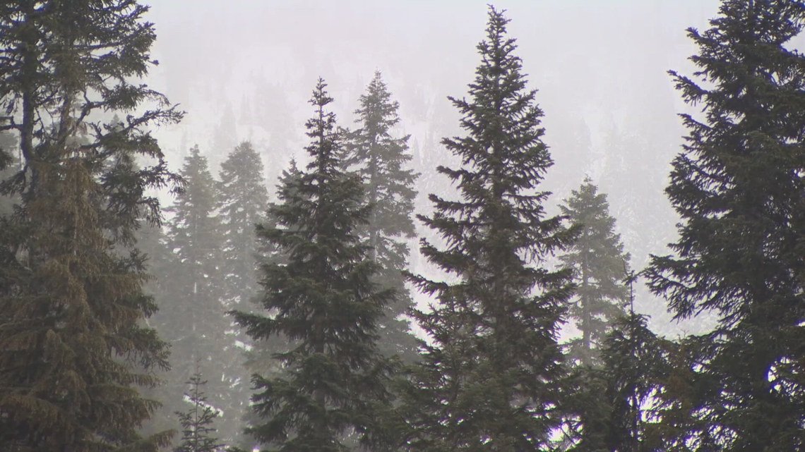 Blizzard Warning issued for Cascades as winter storm approaches