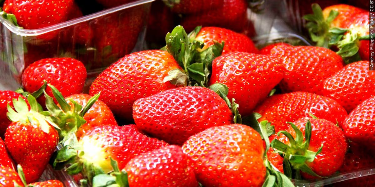 What to know about this year’s events