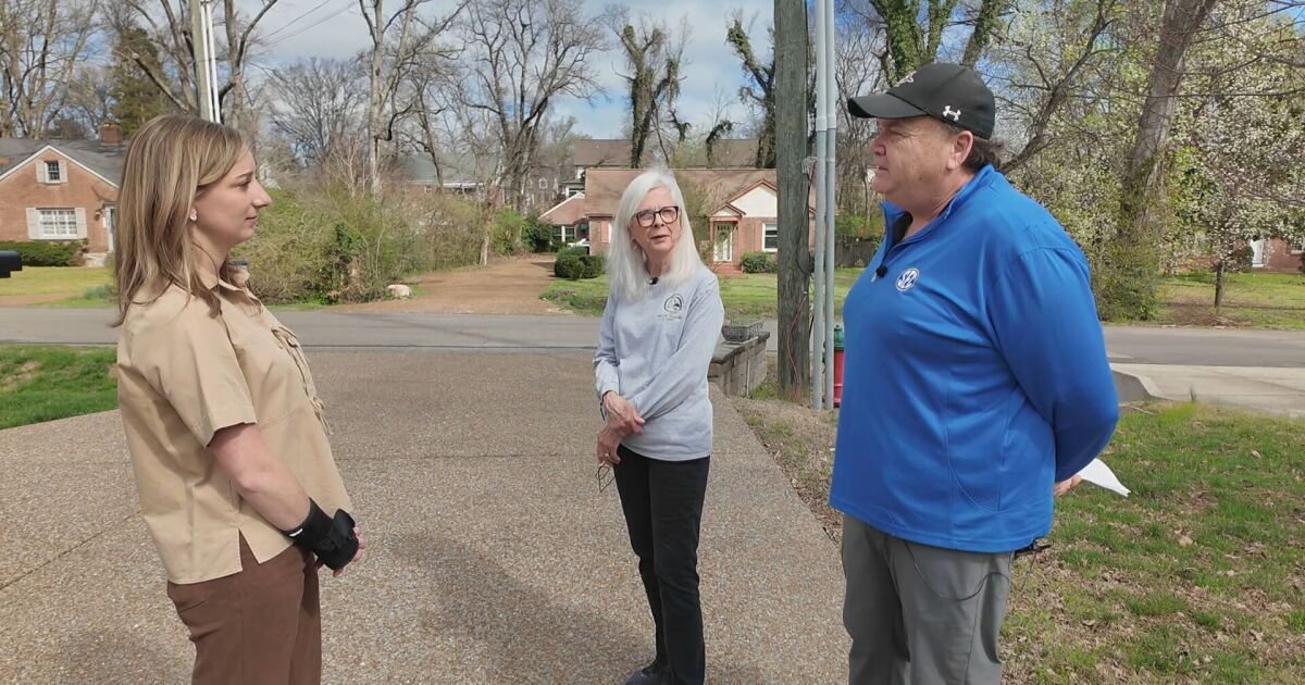 NES clears itself in Green Hills ice storm damage probe